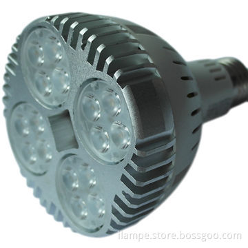 PAR30 LED PAR Light with Traditional Shapes, 16 Pieces of 5730 LEDs